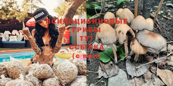 дурь Волоколамск